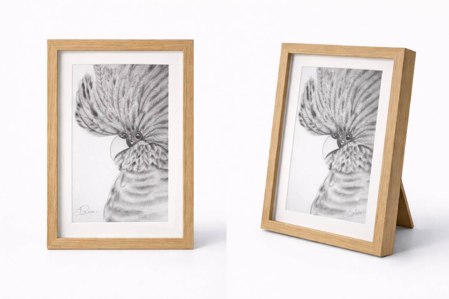 Cockatoo Sketch Print - A3 With Frame