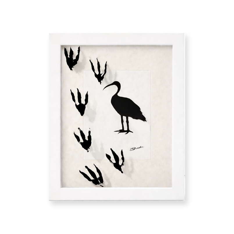 Bin Chicken - Shadowbox Art Piece