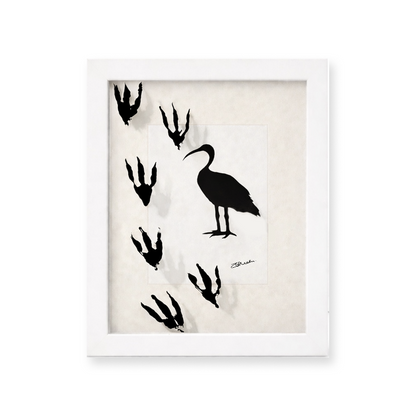 Bin Chicken - Shadowbox Art Piece