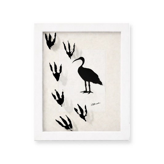 Bin Chicken - Shadowbox Art Piece