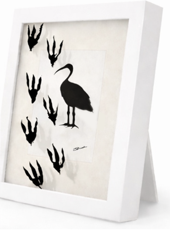 Bin Chicken - Shadowbox Art Piece