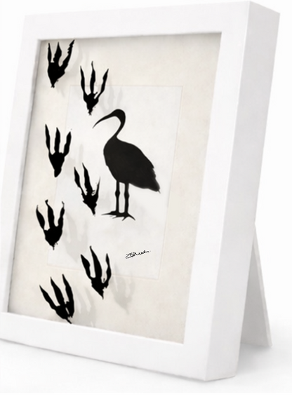 Bin Chicken - Shadowbox Art Piece