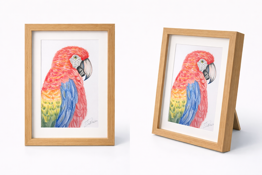 The Land of Parrots - Coloured Pencil Sketch