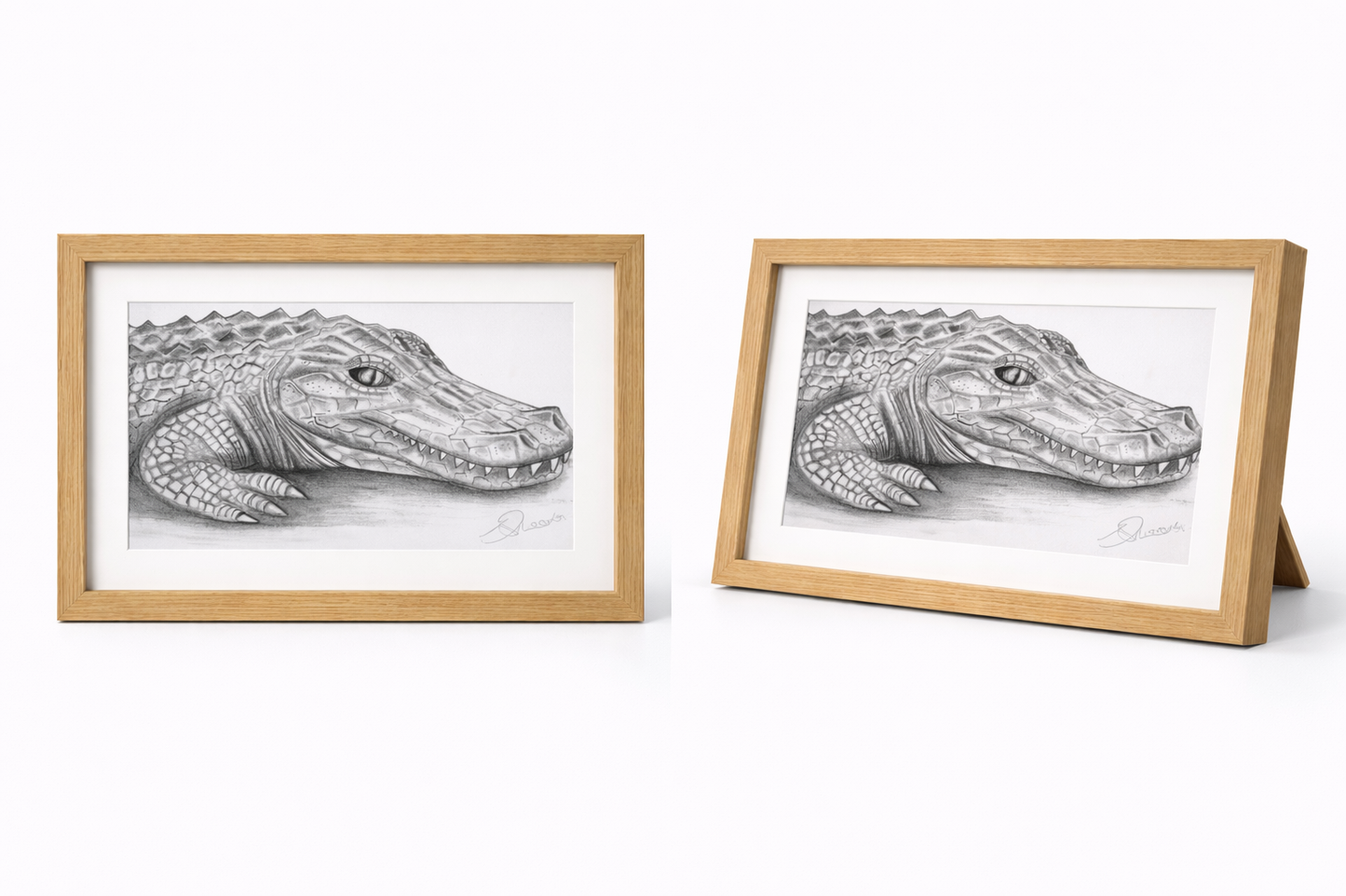 Croc Sketch Print - A4 With Frame