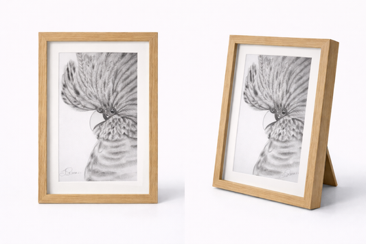 Cockatoo Sketch Print - A3 With Frame